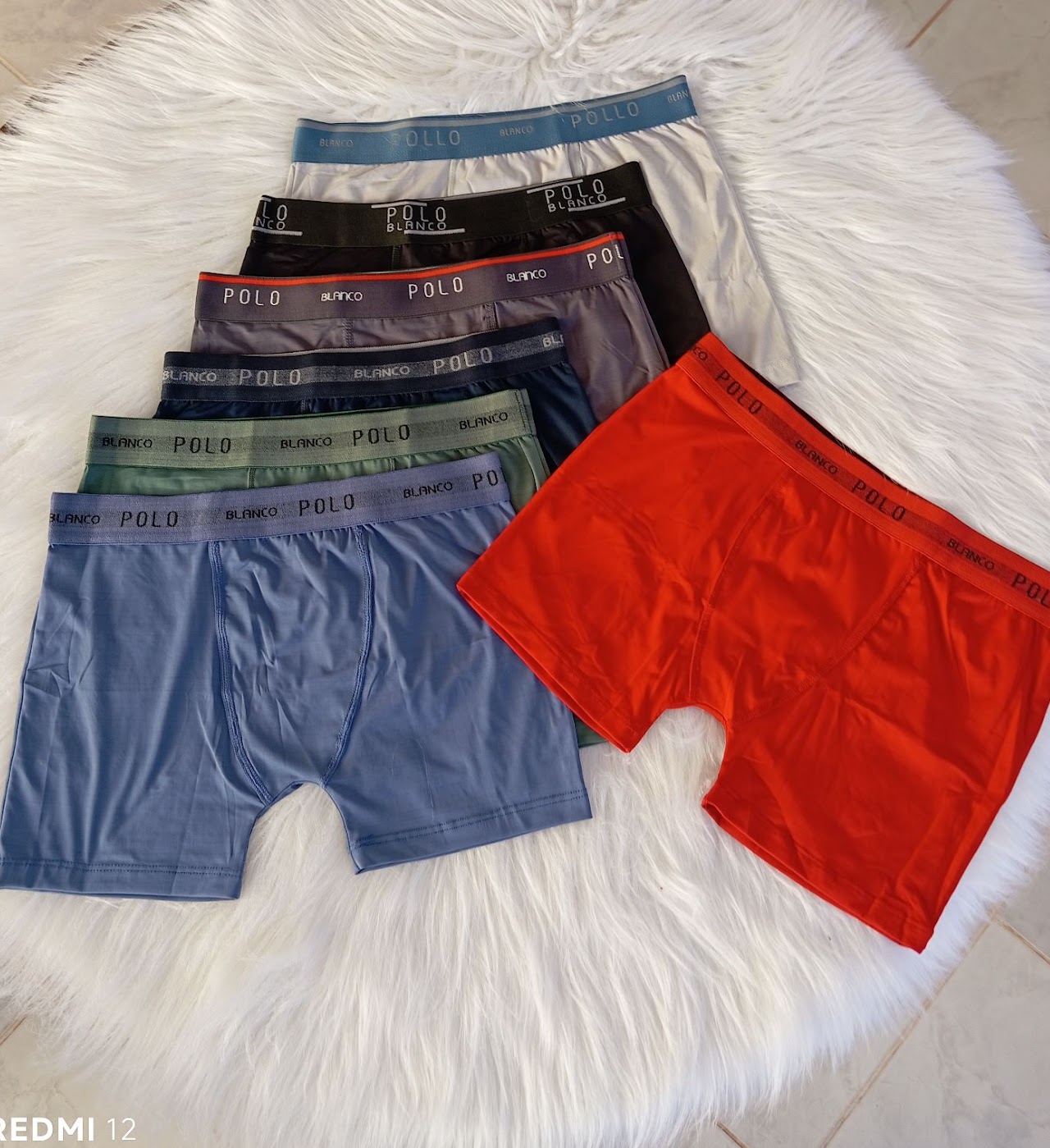 BOX Adulto Polo